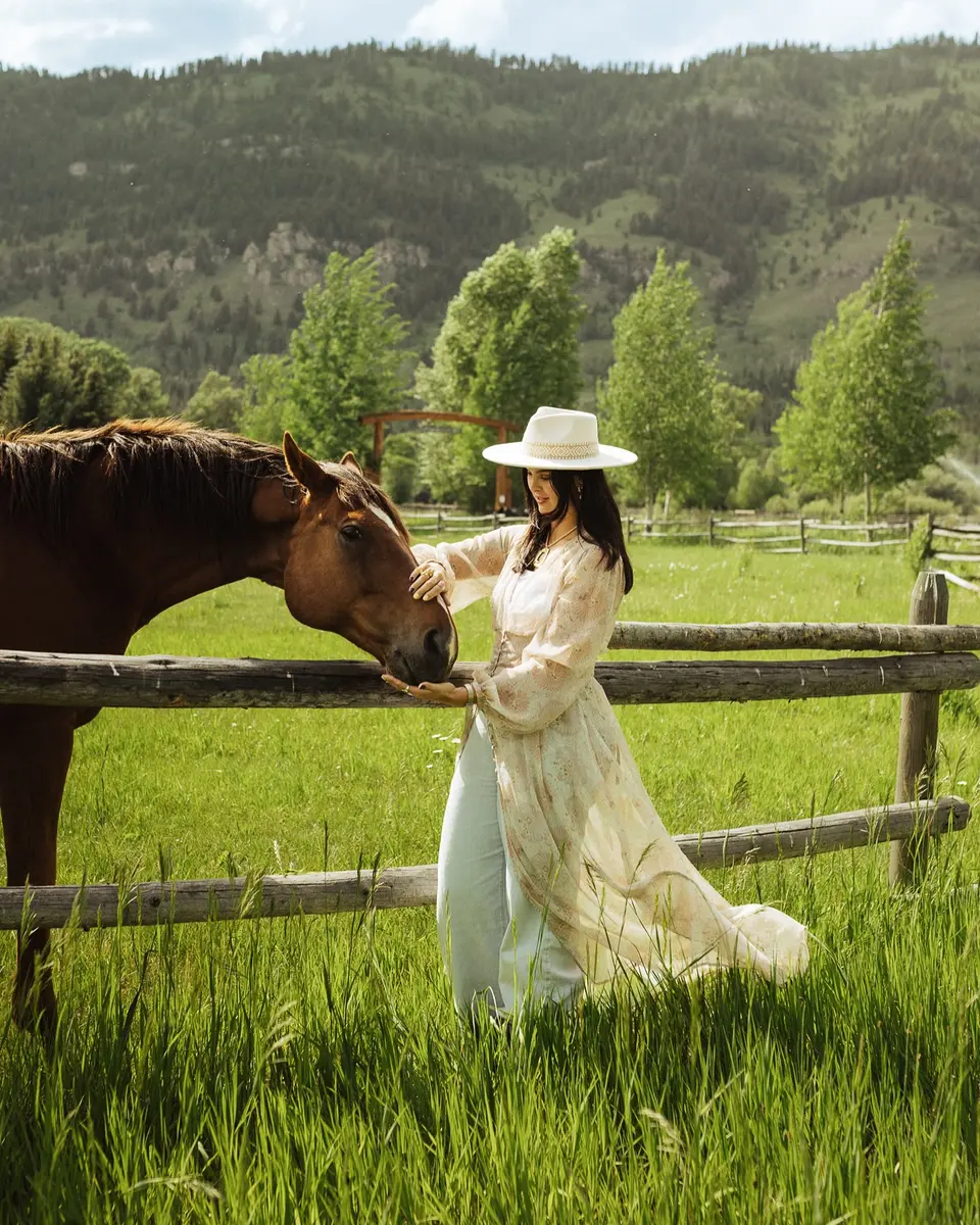 Horses in a mountain field